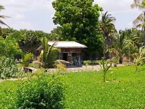 Land For Sale In Akkarepattu