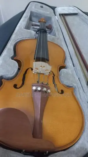 Korean Violin