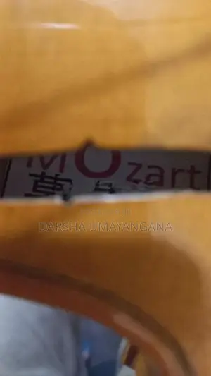 Korean Violin