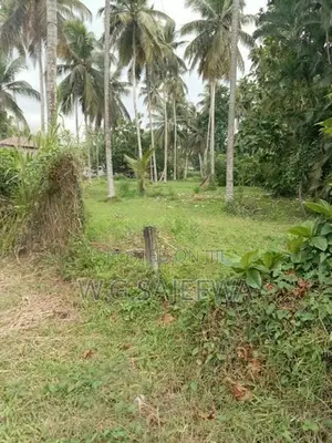 100 Perch Land for Sale Dagonna