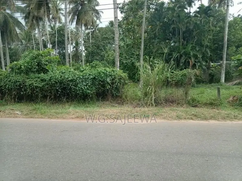 100 Perch Land for Sale Dagonna
