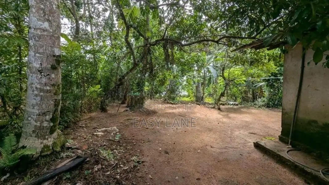 කඩුවෙල – මල්වාන නගරයට පයින් යන දුරින් දේපළක් විකිණීමට