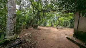 කඩුවෙල – මල්වාන නගරයට පයින් යන දුරින් දේපළක් විකිණීමට