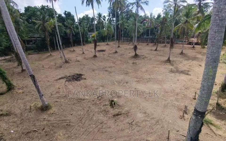 Valuable Residential Land Blocks for Sale in Weliweriya