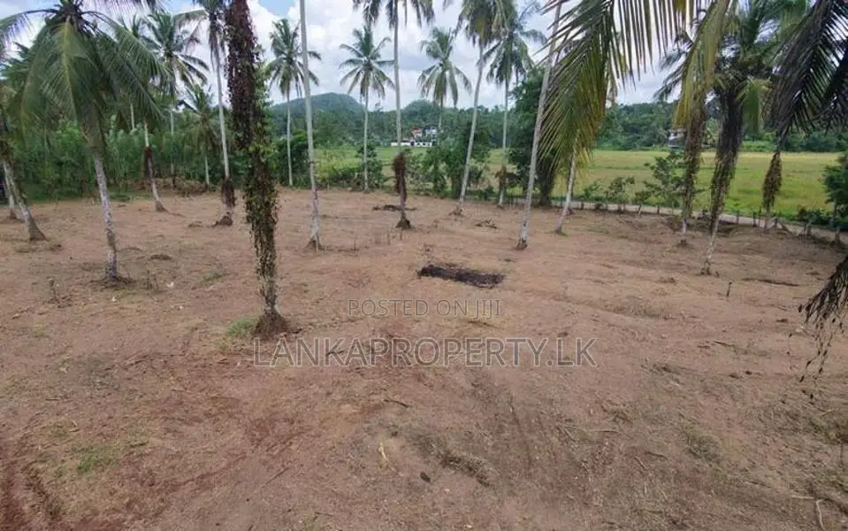 Valuable Residential Land Blocks for Sale in Weliweriya