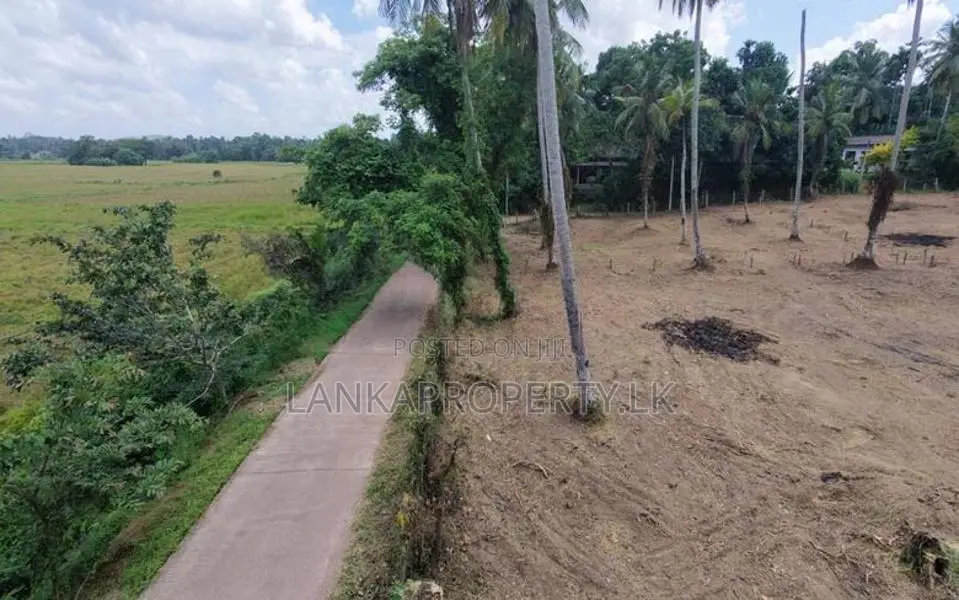 Valuable Residential Land Blocks for Sale in Weliweriya