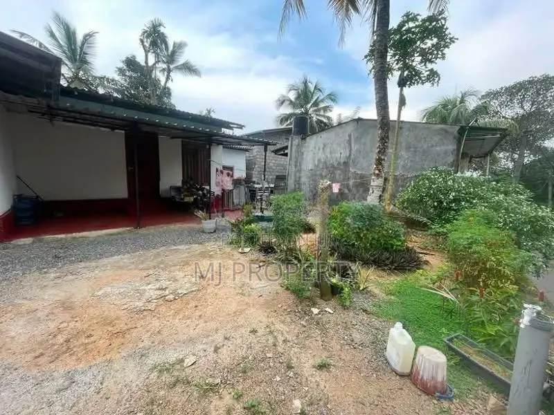( TS-1281) Valuable Single Storey House Sale in Panagoda