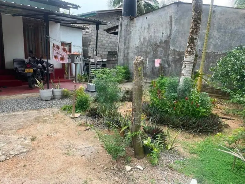 ( TS-1281) Valuable Single Storey House Sale in Panagoda