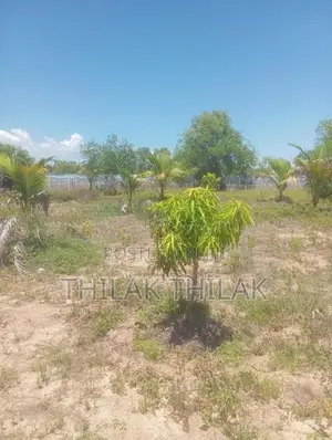 Land for Sale Batticaloa