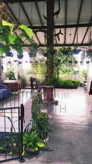 Room for Rent Thalahena