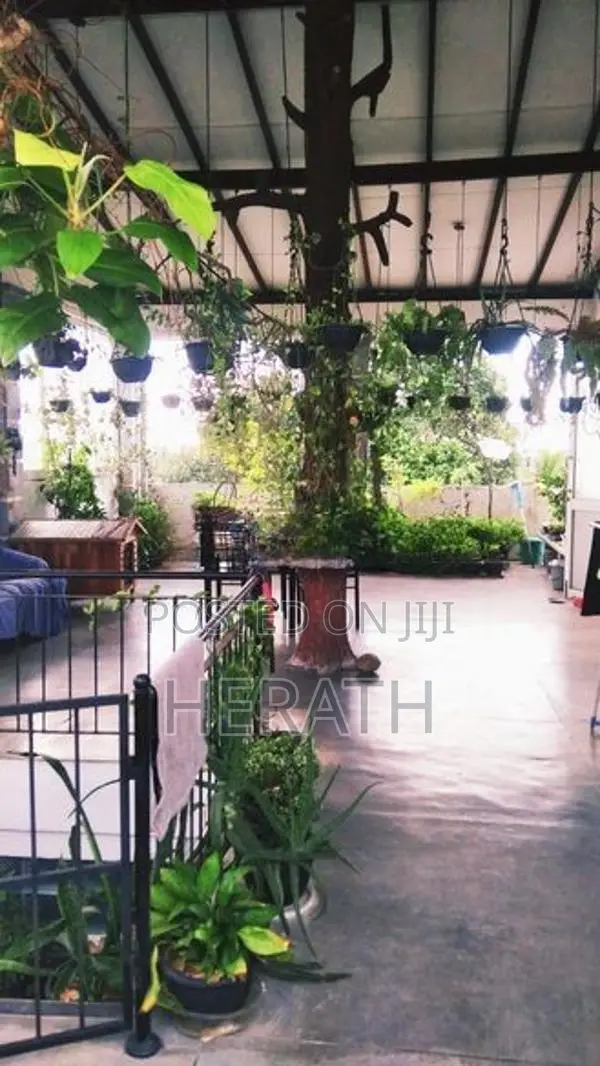 Room for Rent Thalahena