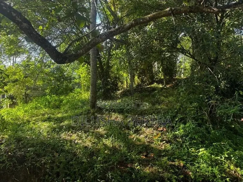 Land For Sale – Gampaha Oruthota