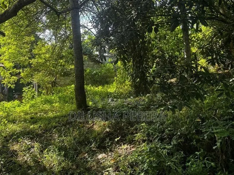 Land For Sale – Gampaha Oruthota