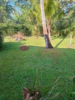 Land For Sale In Benthota