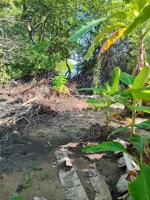 Land For Sale In Benthota