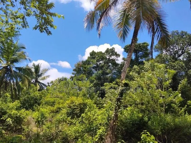 Narammala Land for Sale