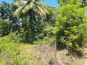 Narammala Land for Sale