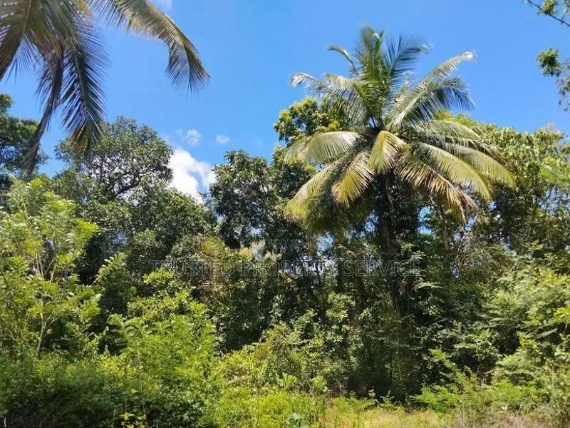 Narammala Land for Sale