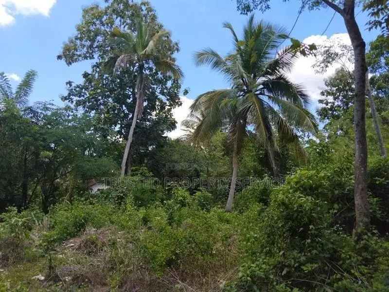 Narammala Land for Sale