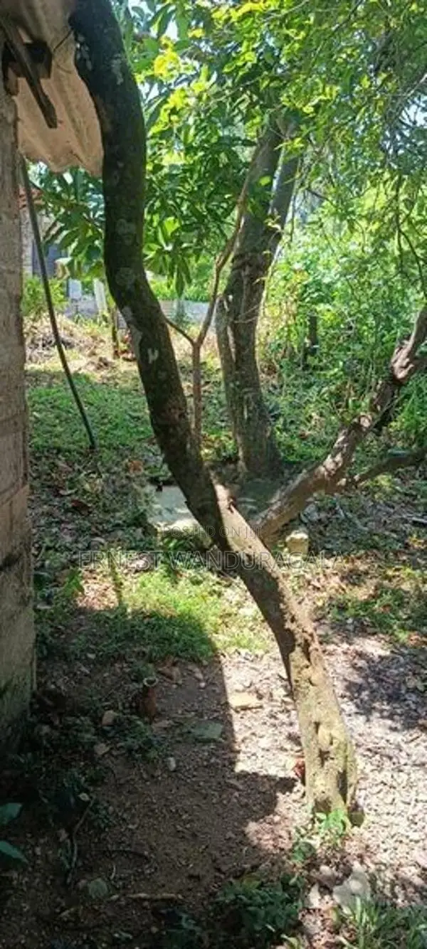 Land For Sale IN Colombo 5 -805