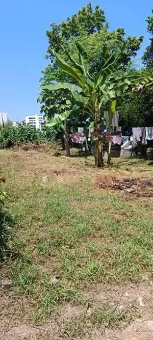 Land For Sale IN Colombo 5 -805