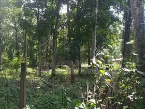 ඉඩමක් විකිණීමට ඇත අකරගම