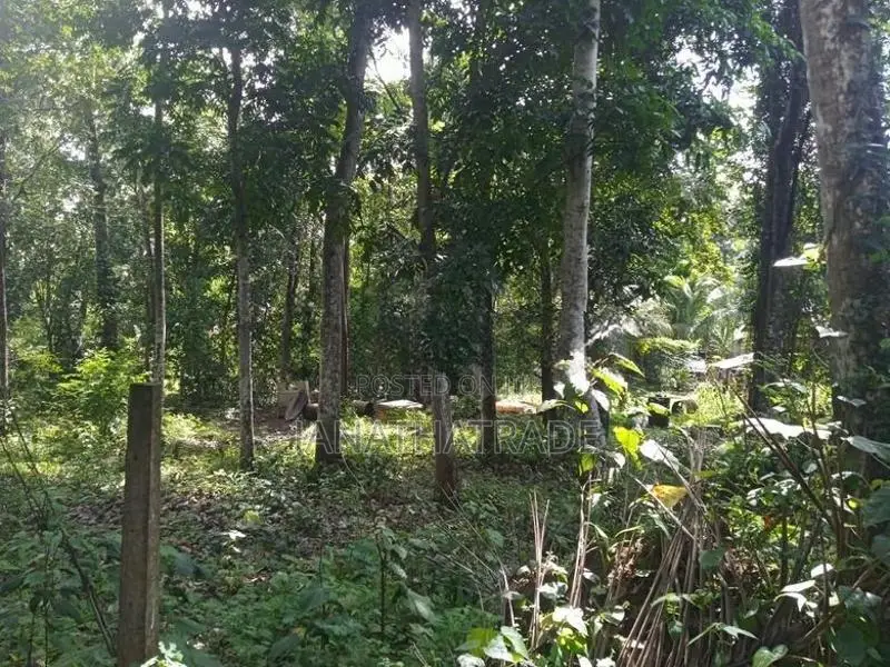 ඉඩමක් විකිණීමට ඇත අකරගම