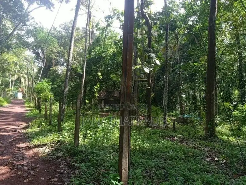 ඉඩමක් විකිණීමට ඇත අකරගම