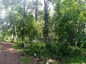 ඉඩමක් විකිණීමට ඇත අකරගම