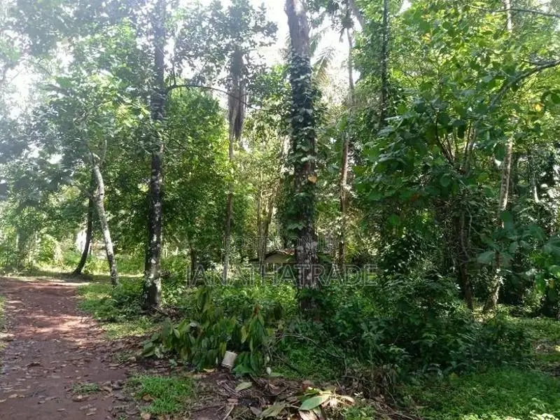 ඉඩමක් විකිණීමට ඇත අකරගම
