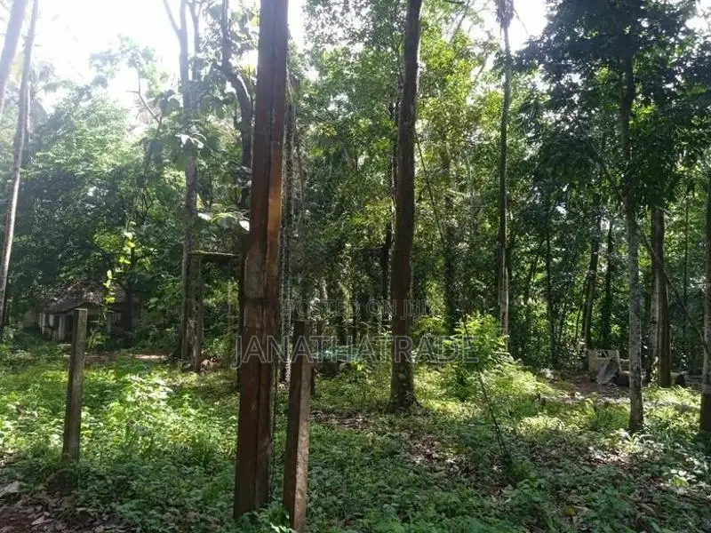 ඉඩමක් විකිණීමට ඇත අකරගම