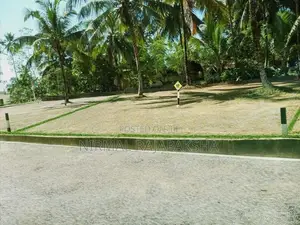 Land for Sale in Minuwangoda