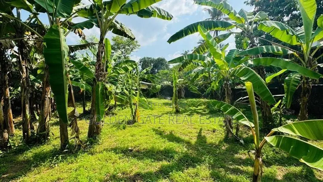 Valuable Land for Sale in Makola Kiribathgoda