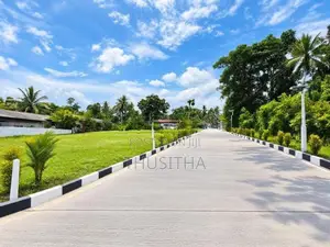 Udugampola නගරයෙන් ප්‍රධාන පාරට 500M දුරින් ඉඩමක්