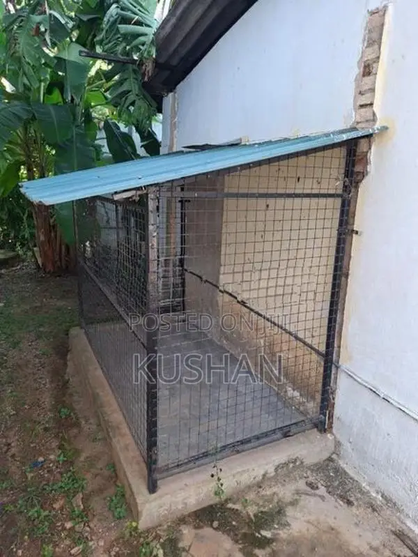Dog Cage