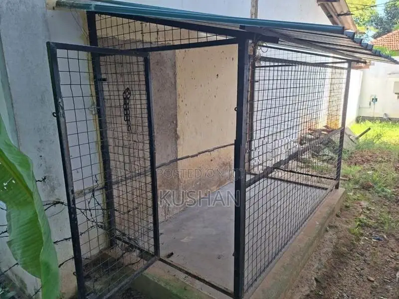 Dog Cage