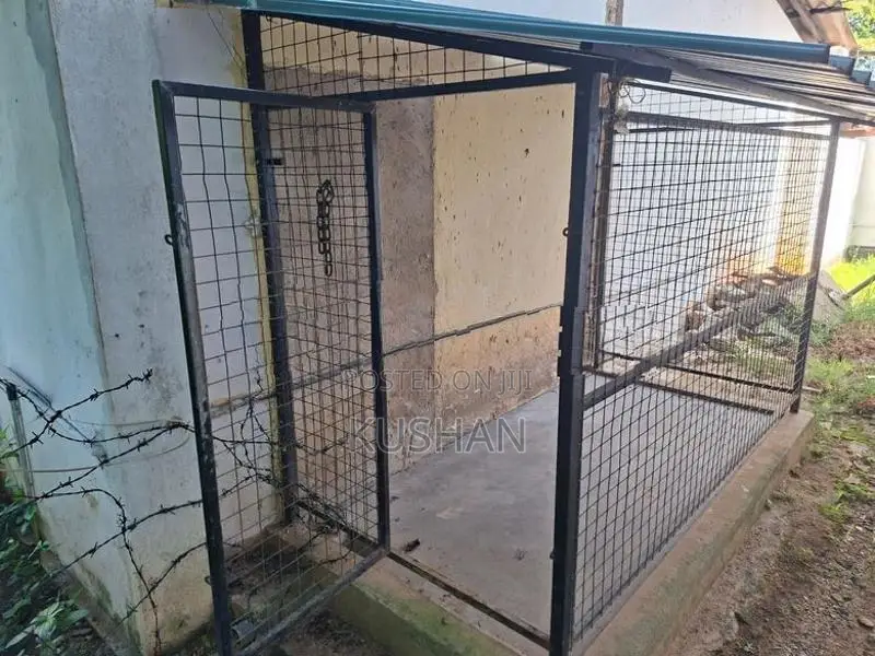 Dog Cage