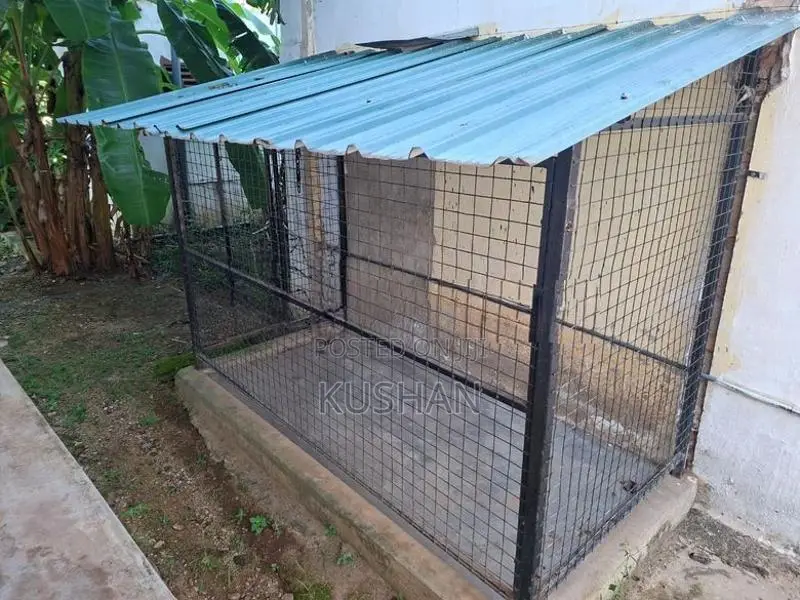 Dog Cage