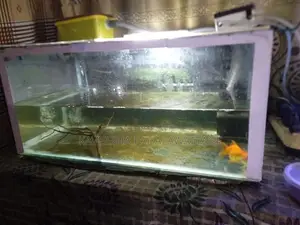 Fish Tank