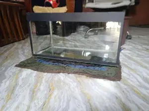 Fish Tank