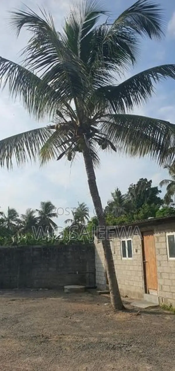 50m Main Road 15 Perch Land for Sale Seeduwa