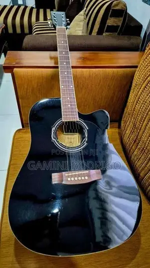 Acoustic Guitar - Maverick