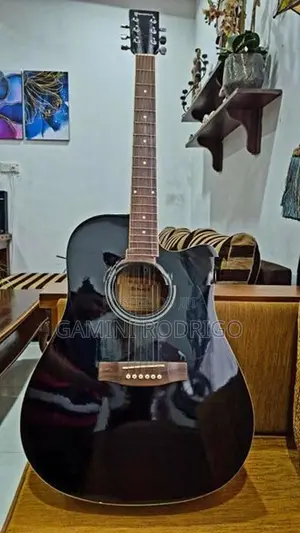 Acoustic Guitar - Maverick