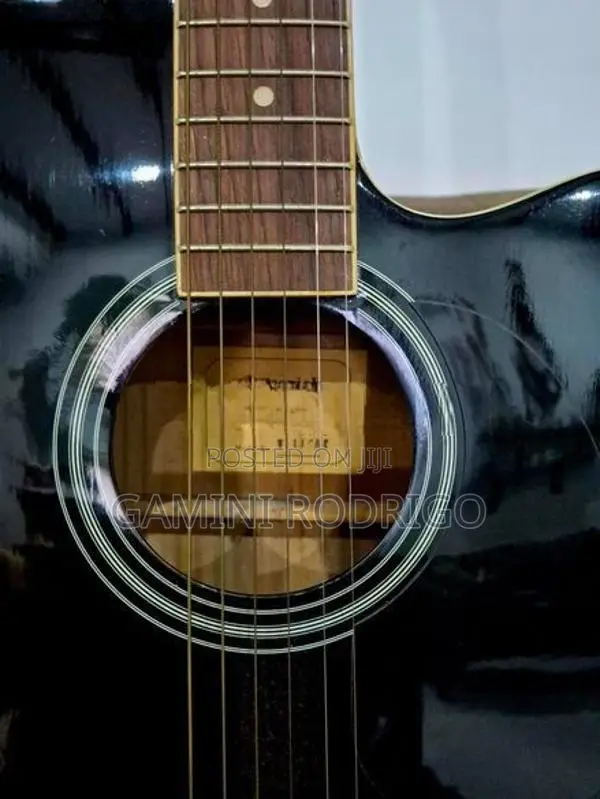 Acoustic Guitar - Maverick