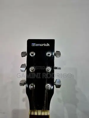 Acoustic Guitar - Maverick
