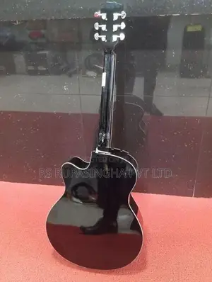 Robins Semi Acoustic Box Guitar