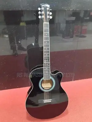 Robins Semi Acoustic Box Guitar