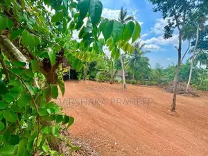 Land for Sale in Yakkala, Near Lyceum International School, Gampaha