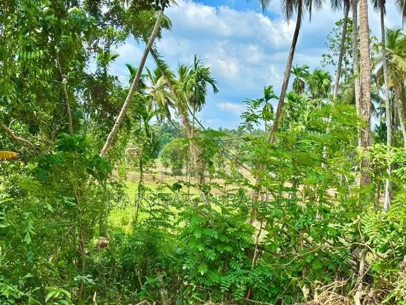 Land for Sale in Yakkala, Near Lyceum International School, Gampaha
