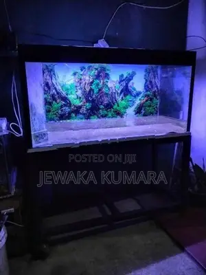 Fish Tank